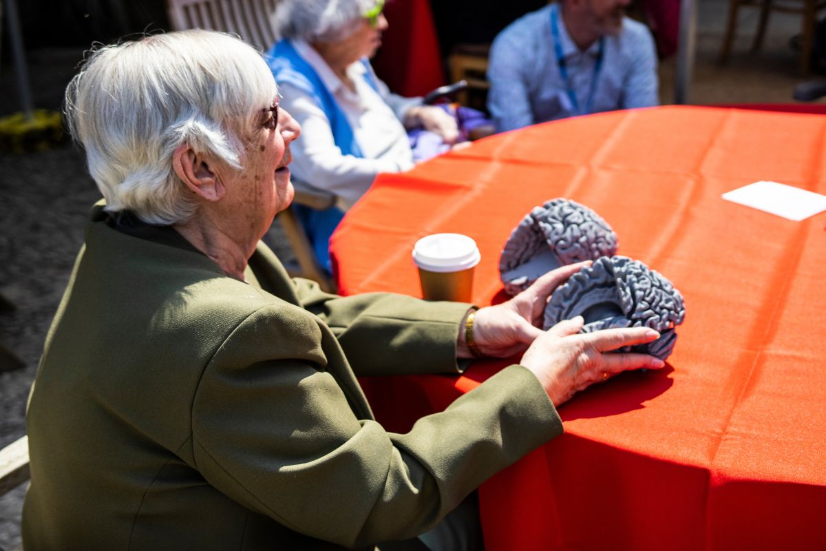 A woman sat at a table holds a 3d printed brain.
