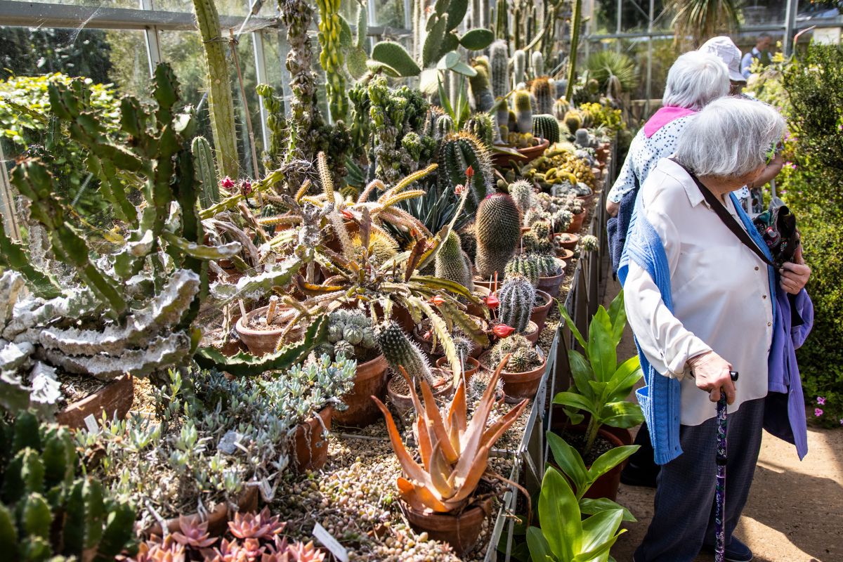 A group of people observe a variety of plants and cacti inside a greenhouse.
