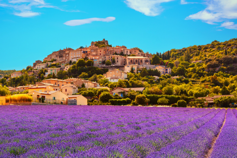 A landscape photo of Provence with lavender fields, trees and yellow brick buildings.