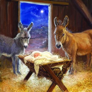 Baby Jesus in a Stable