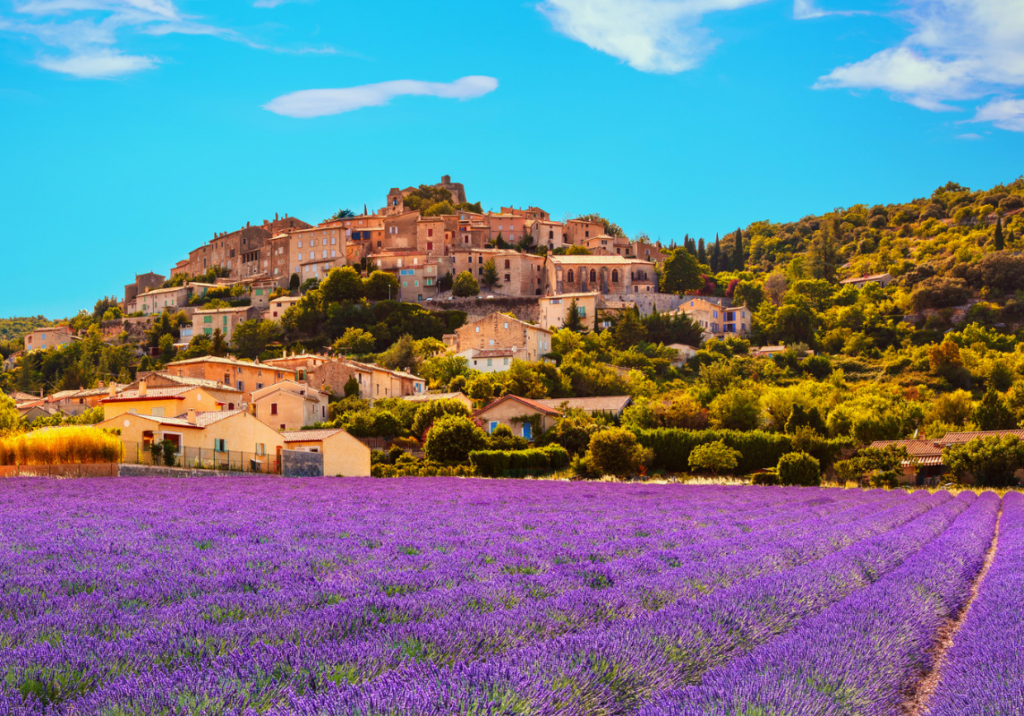 A landscape photo of Provence with lavender fields, trees and yellow brick buildings.